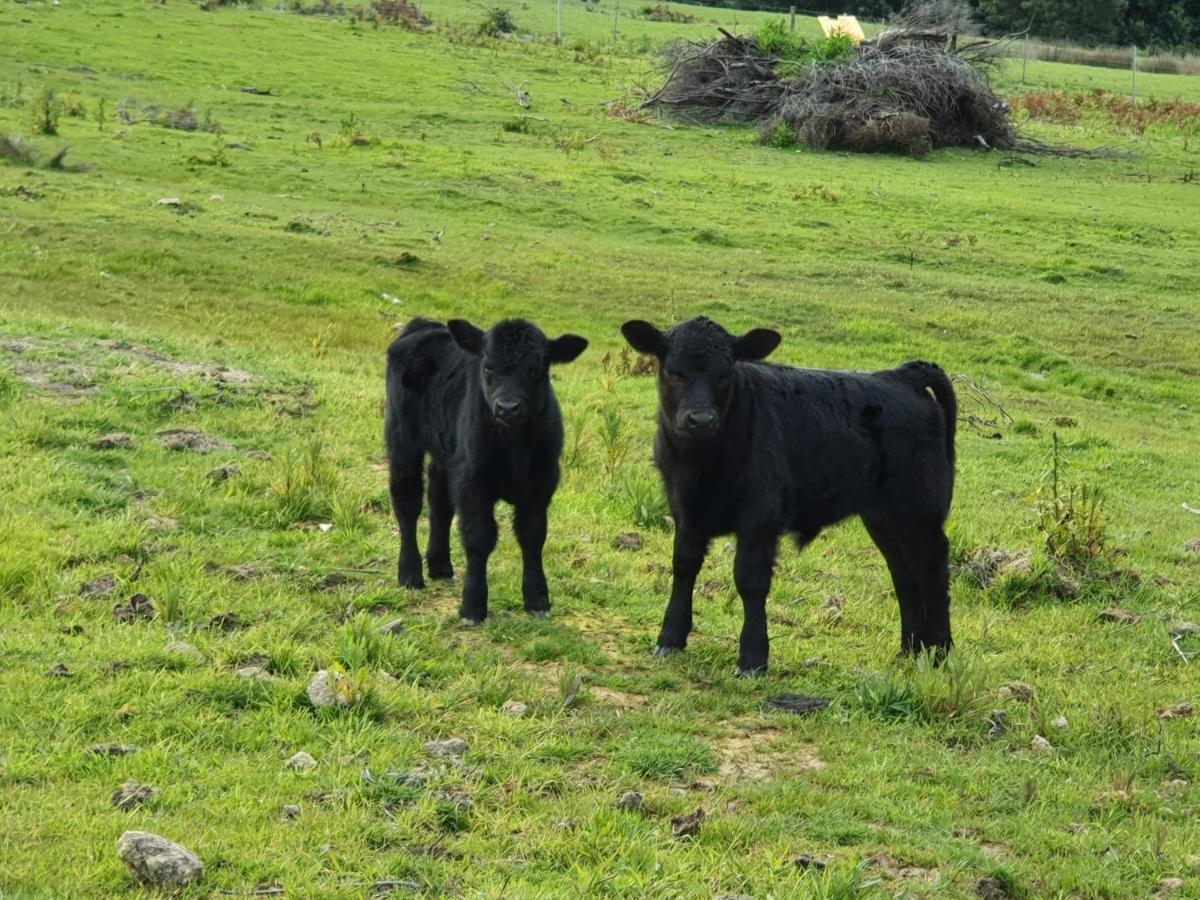 Ruby'S Cottage Farm Stay Port Arthur Ngoại thất bức ảnh