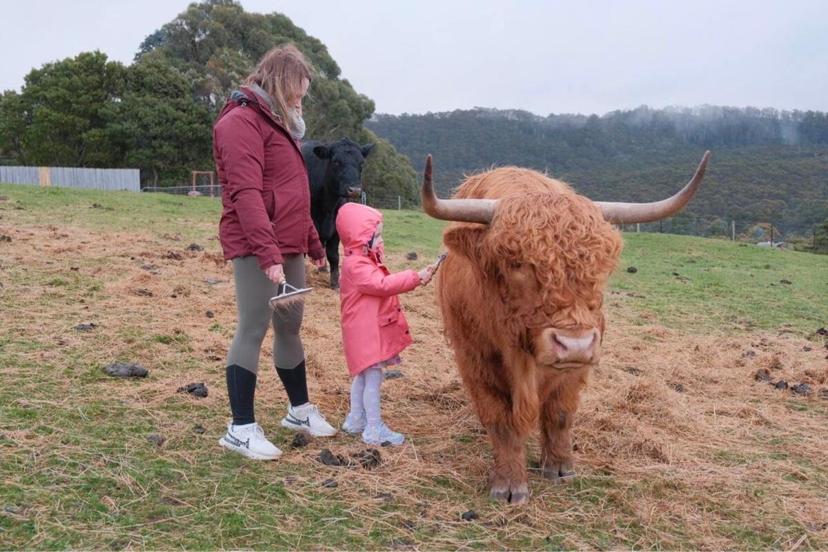 Ruby'S Cottage Farm Stay Port Arthur Ngoại thất bức ảnh
